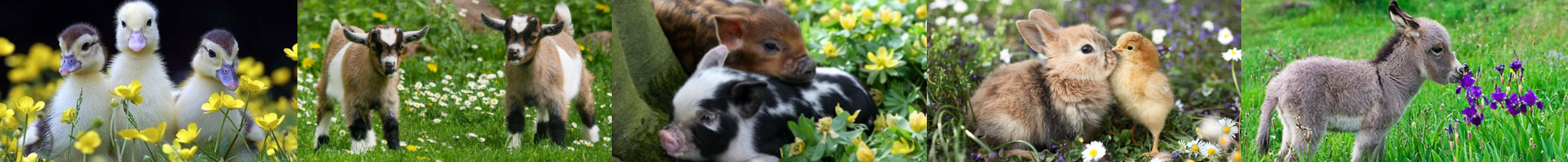 DeLeon Springs Farm Swap